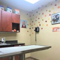 Greenwich Veterinary Center ico