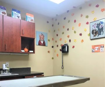 Greenwich Veterinary Center
