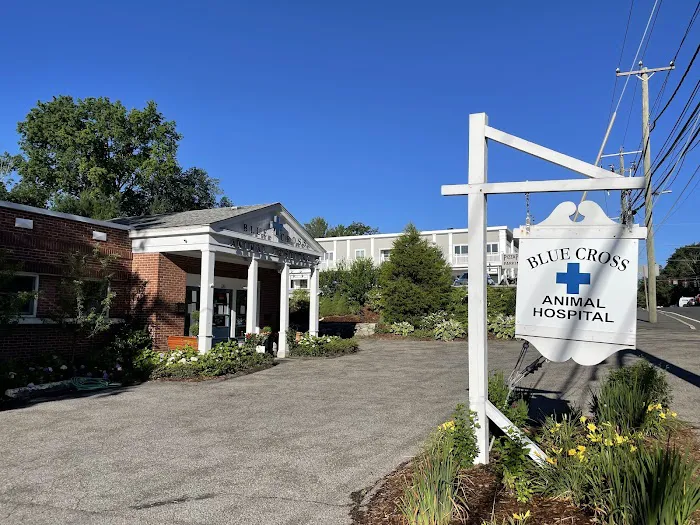 Blue Cross Animal Hospital 12