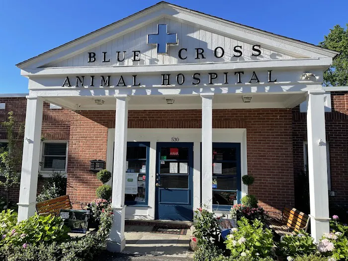 Blue Cross Animal Hospital 12