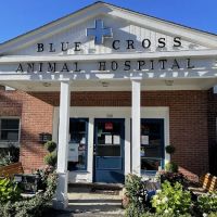 Blue Cross Animal Hospital ico
