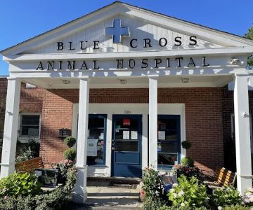 Blue Cross Animal Hospital