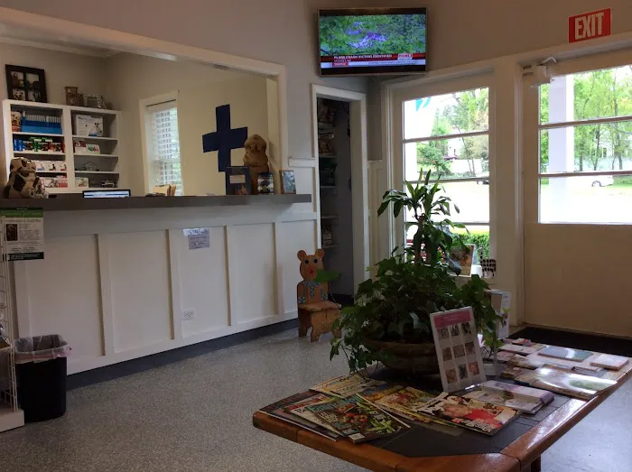 Blue Cross Animal Hospital 12