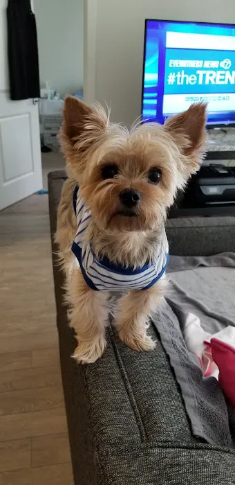Blue Cross Animal Hospital 12