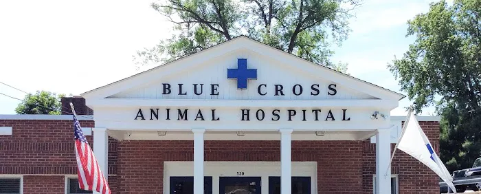 Blue Cross Animal Hospital 12
