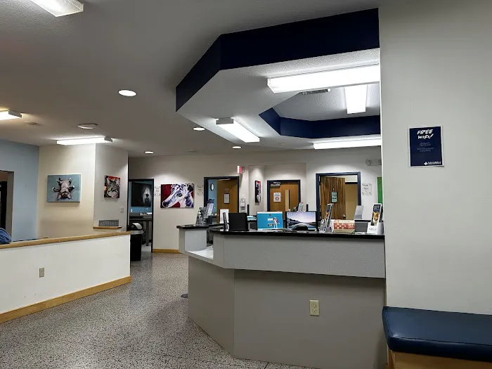 MedVet Asheville 4