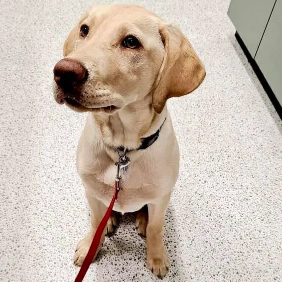 Evergreen Veterinary Hospital 1
