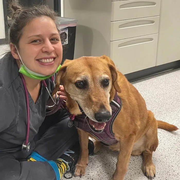 Evergreen Veterinary Hospital 8