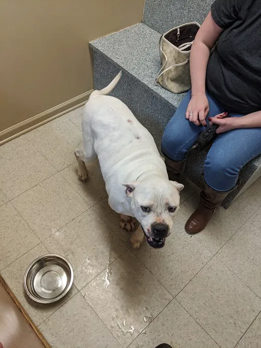 Candler Veterinary Clinic 5