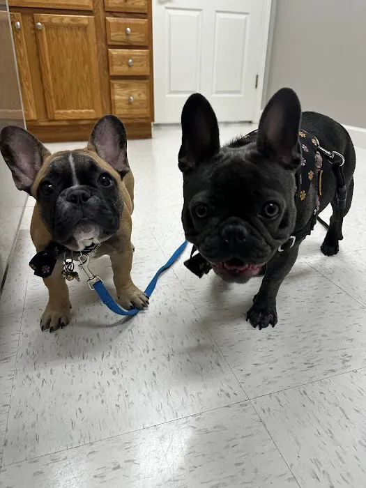 Candler Veterinary Clinic 3