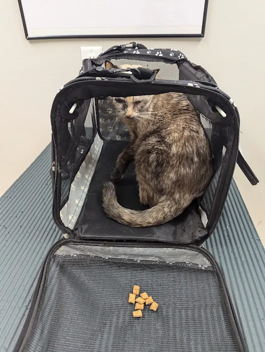 Candler Veterinary Clinic 1