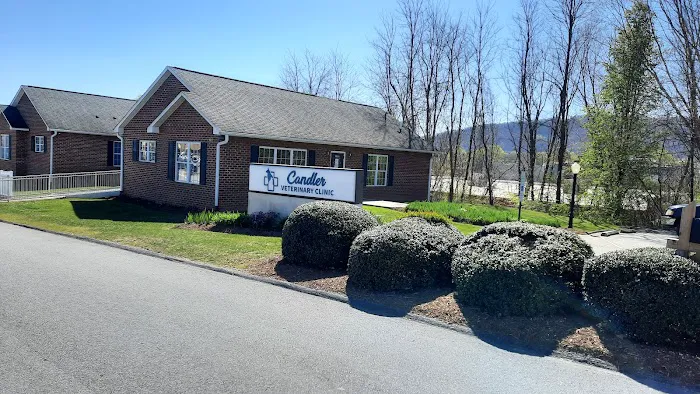 Candler Veterinary Clinic 10