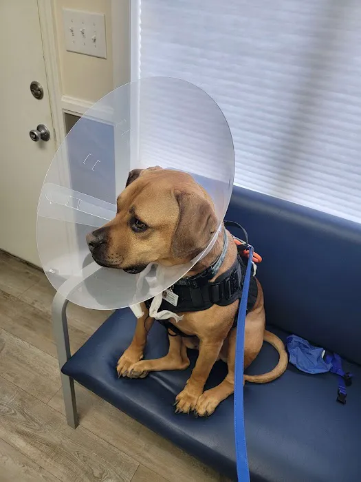 Skyland Animal Hospital 12