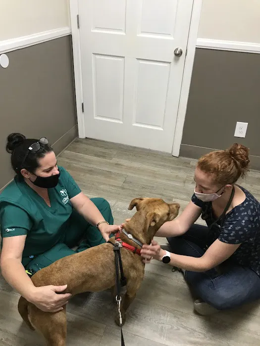 Skyland Animal Hospital 12