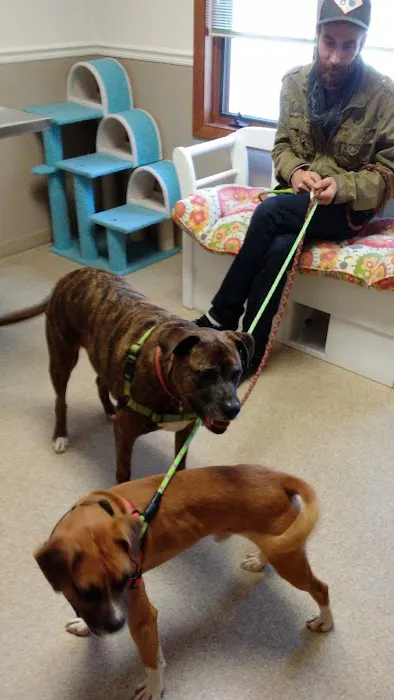 Skyland Animal Hospital 12