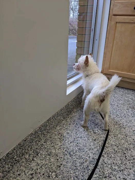 Open Door Veterinary Care 12