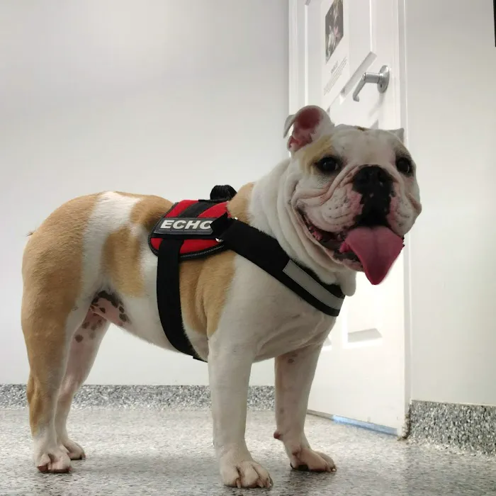 Open Door Veterinary Care 12