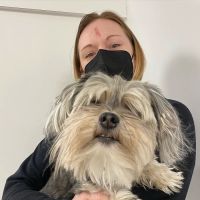 West Asheville Family Vet ico