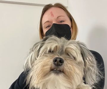 West Asheville Family Vet