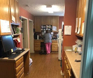 Asheville Veterinary Associates - West