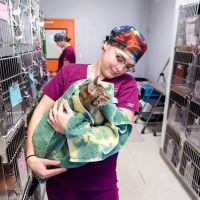 ASPCA Spay/Neuter Alliance ico