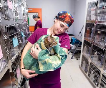 ASPCA Spay/Neuter Alliance