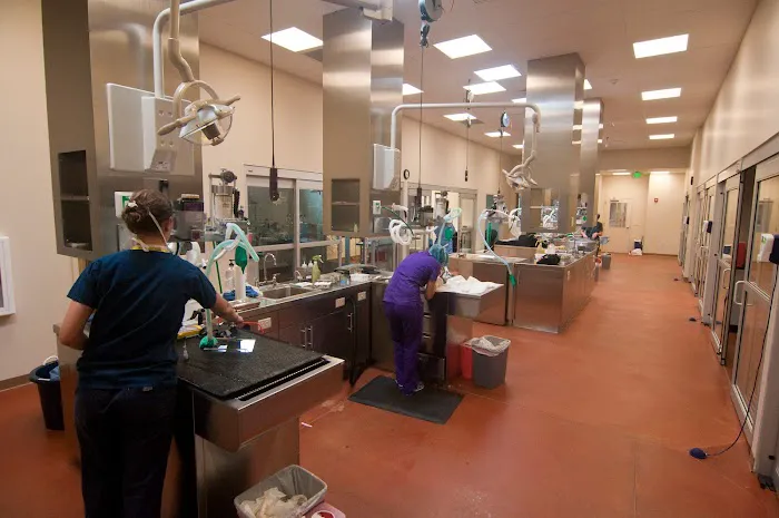 ASPCA Spay/Neuter Alliance 12