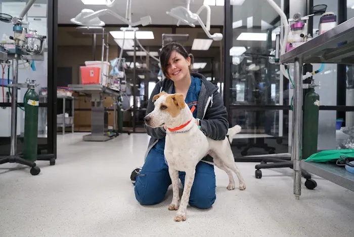 ASPCA Spay/Neuter Alliance 12