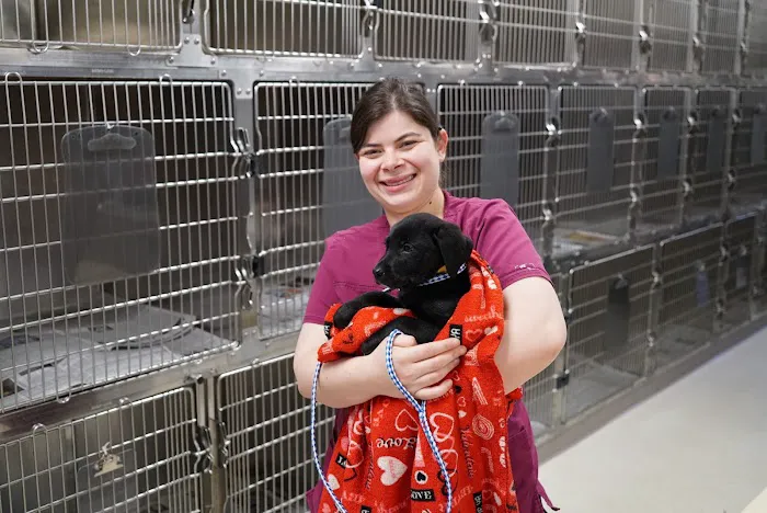 ASPCA Spay/Neuter Alliance 12