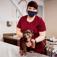 Carolina Family Vet ico