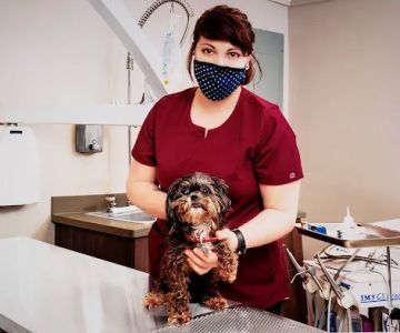 Carolina Family Vet
