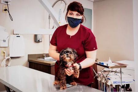 Carolina Family Vet