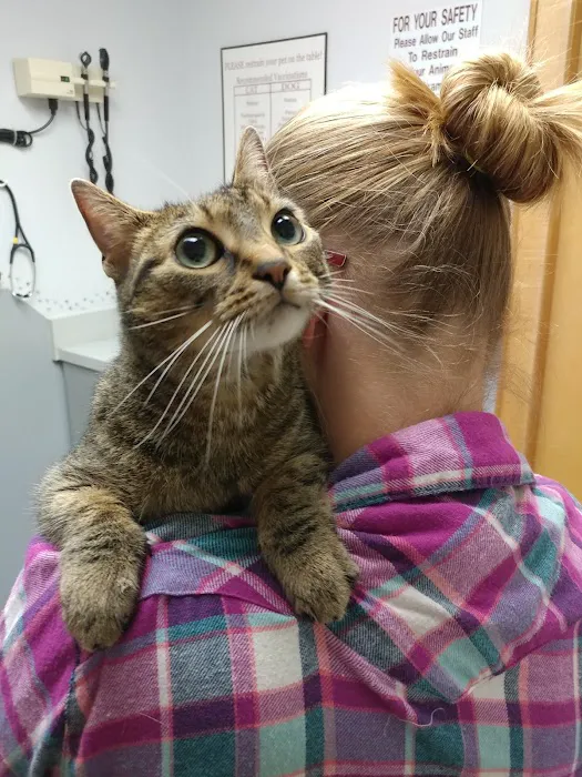 Elizabethton Veterinary Clinic 10