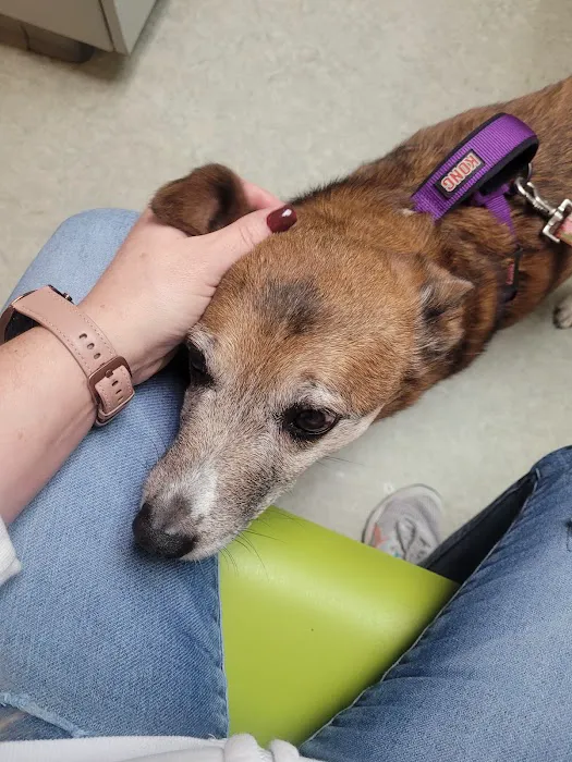 Elizabethton Veterinary Clinic 2