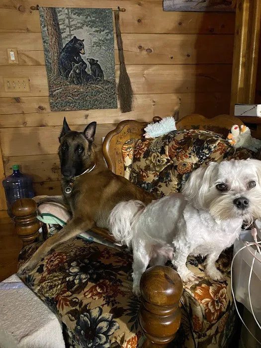 Animal Medical Center of Greeneville 9