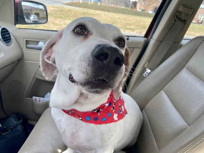 Animal Medical Center of Greeneville 3