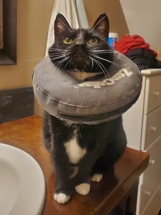 East Tennessee Veterinary Hospital 1