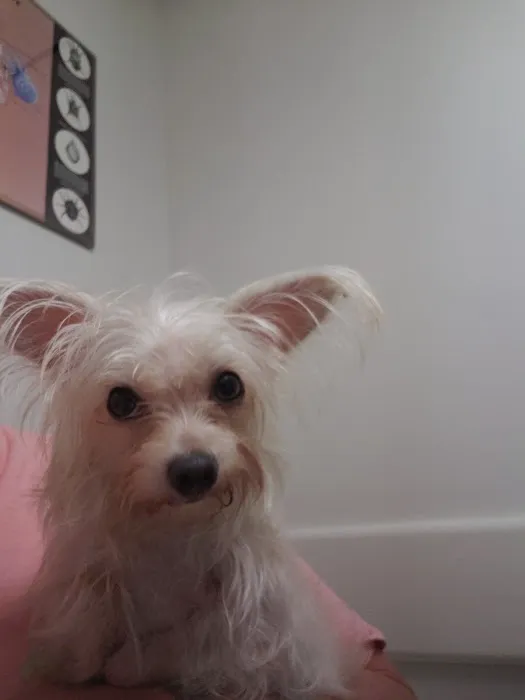 Vet Care Animal Hospital 1