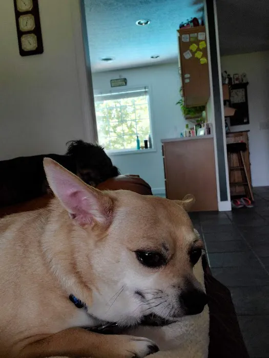 Duckworth Animal Hospital 7