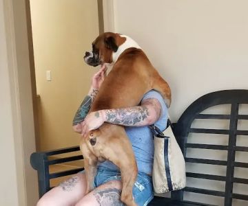 Duckworth Animal Hospital