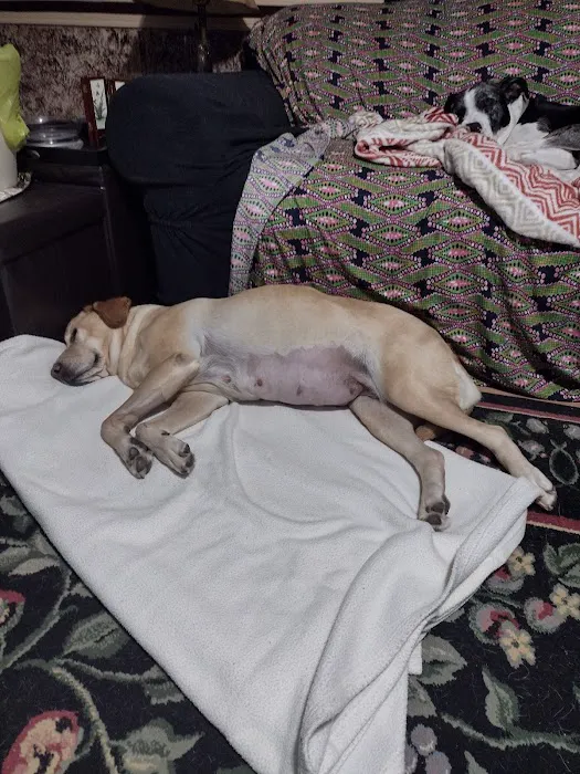 Duckworth Animal Hospital 3