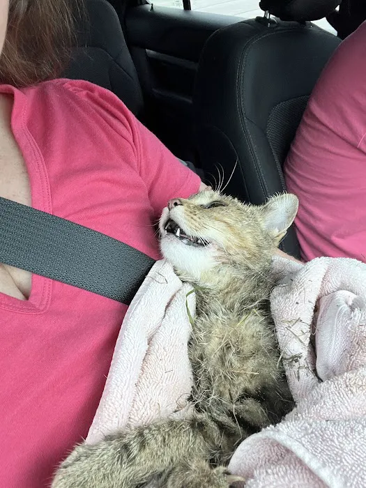 Brookfield Animal Hospital 2