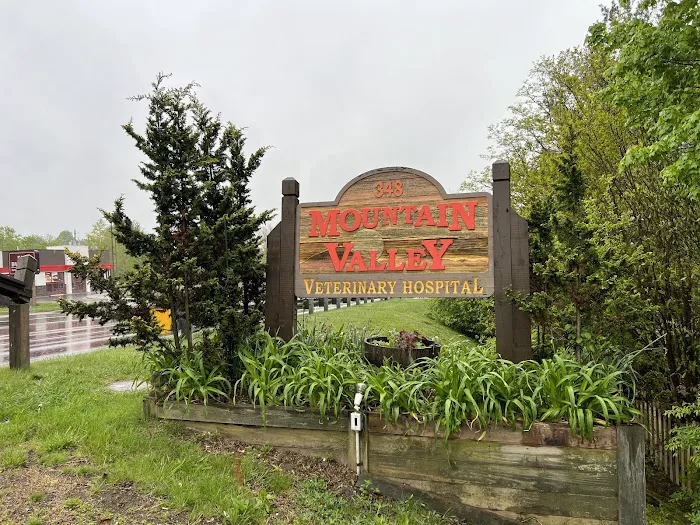Mountain Valley Vet Hospital 12