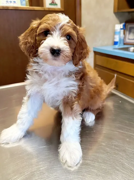 Mountain Valley Vet Hospital 12