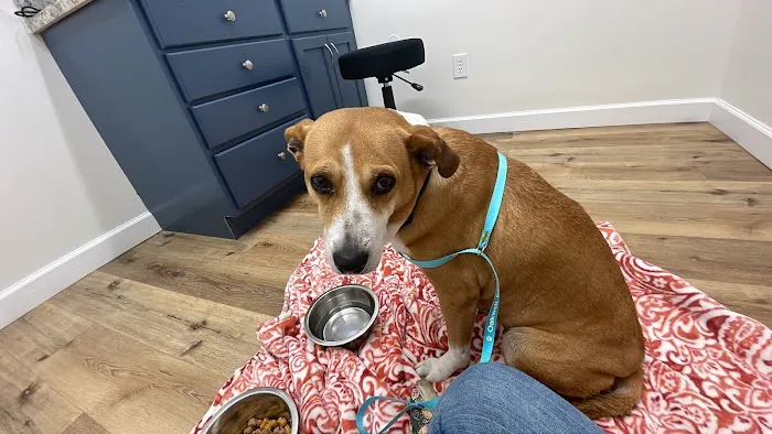 Oakwell Animal Hospital 3