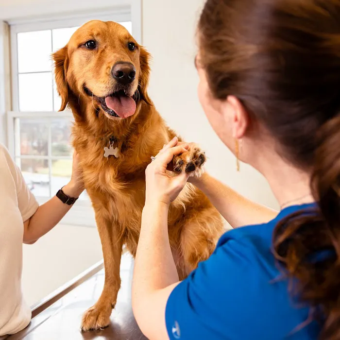 Oakwell Animal Hospital 10