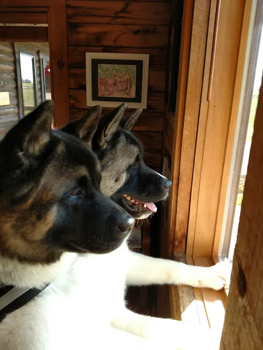 Sanders Animal Hospital 3