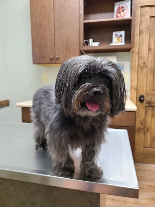 Sanders Animal Hospital 4