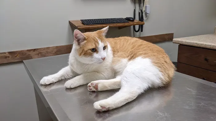 Sanders Animal Hospital 8