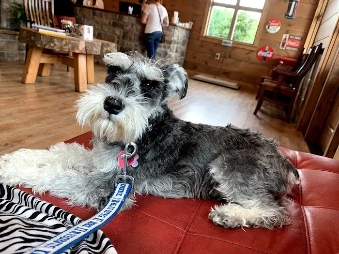 Sanders Animal Hospital 5